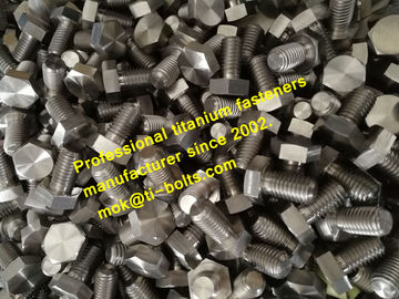 China titanium bolts supplier